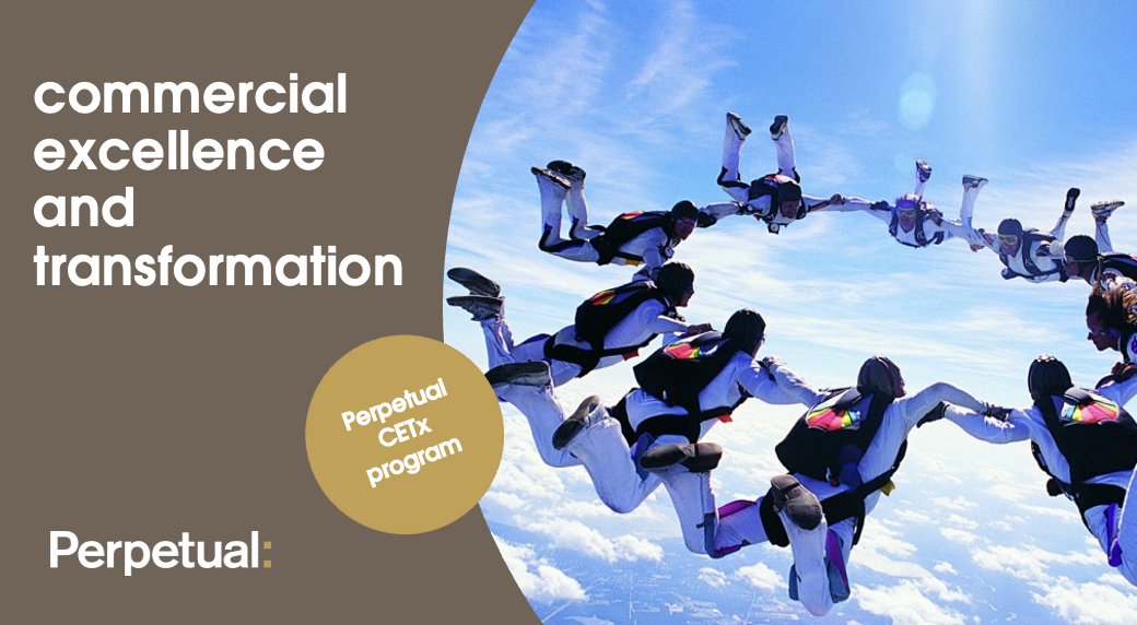 Commercial excellence and transformation